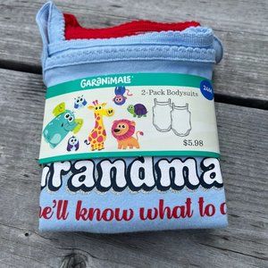 Garanimals Baby Girl Size 24 Months 2 pack Bodysuits